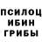 Галлюциногенные грибы Cubensis daniel ocsai