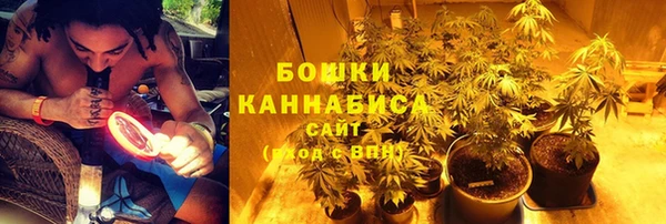 мескалин Надым