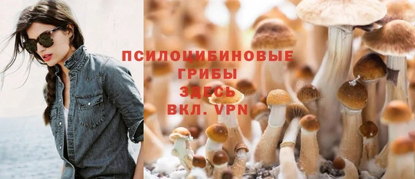 мескалин Надым