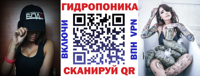 Бошки Шишки OG Kush Приморск